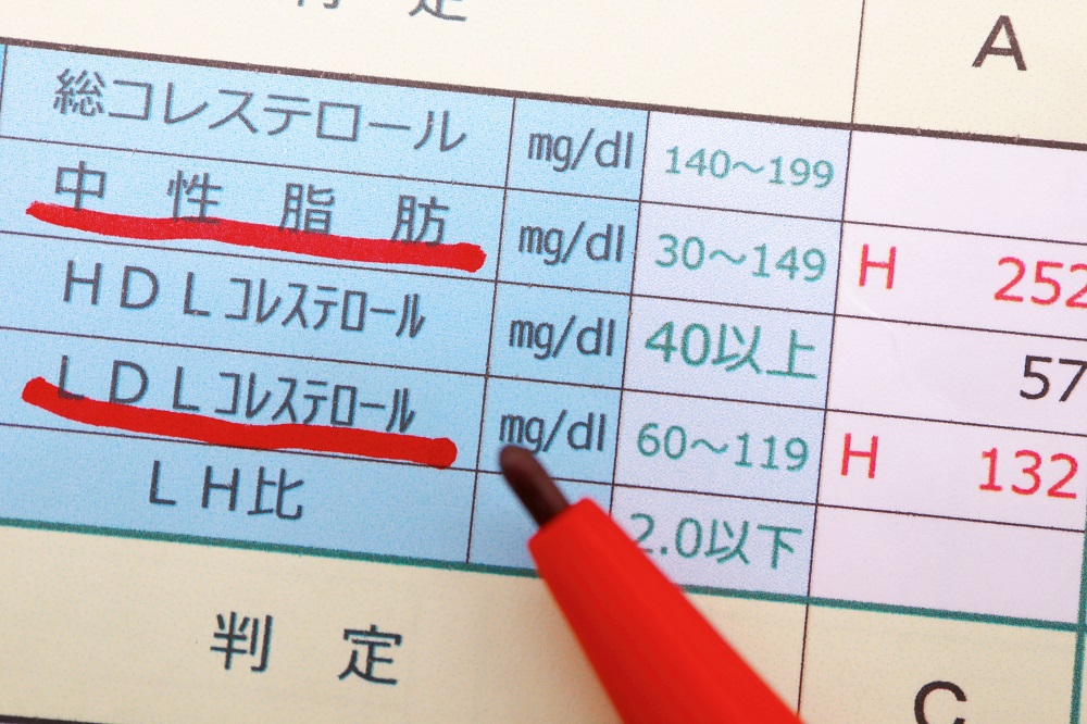 中性脂肪はいくつからやばい？基準値の男女差が気になる