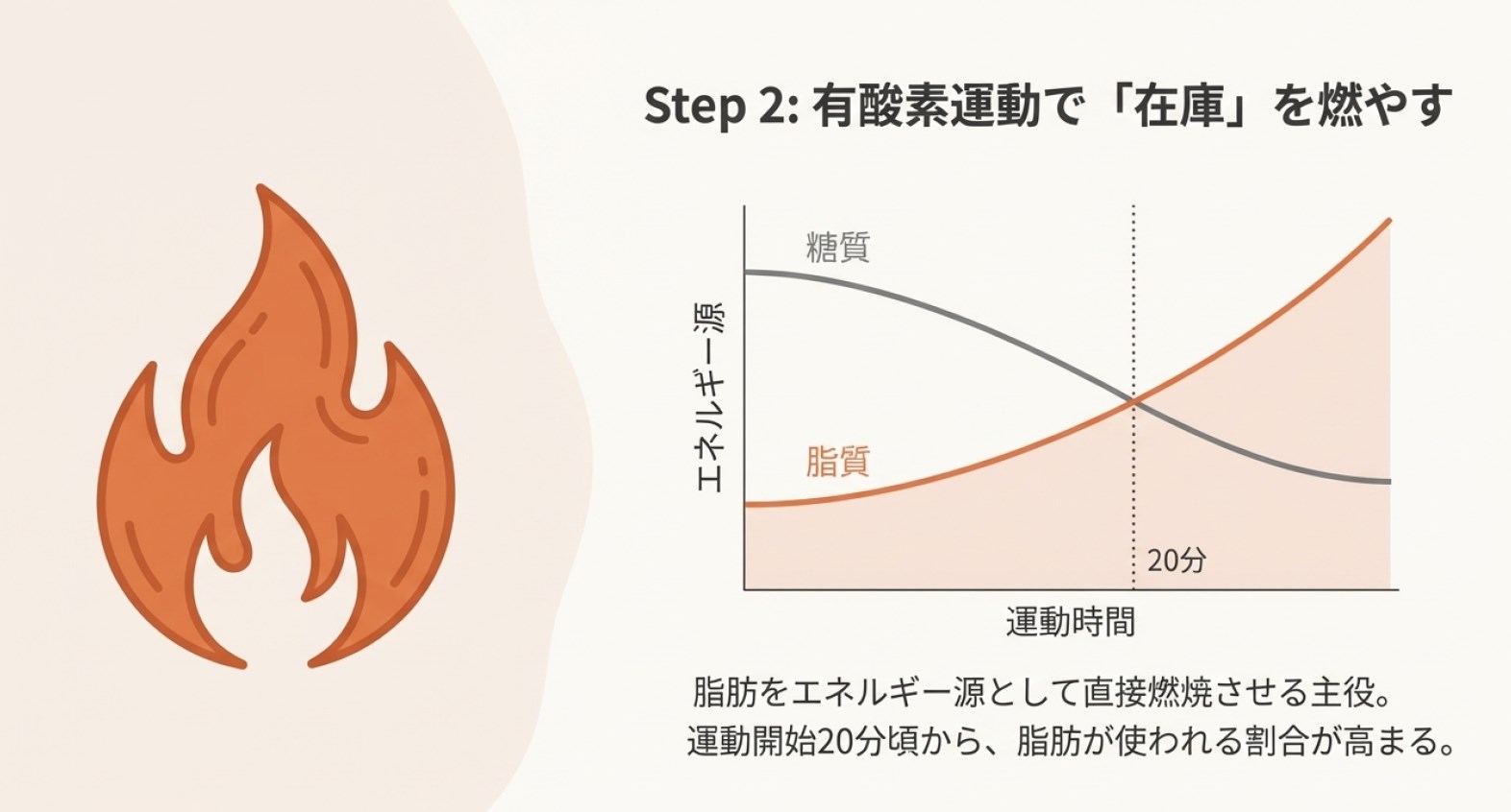 脂肪が1番落ちる運動は何?有酸素運動がカギ