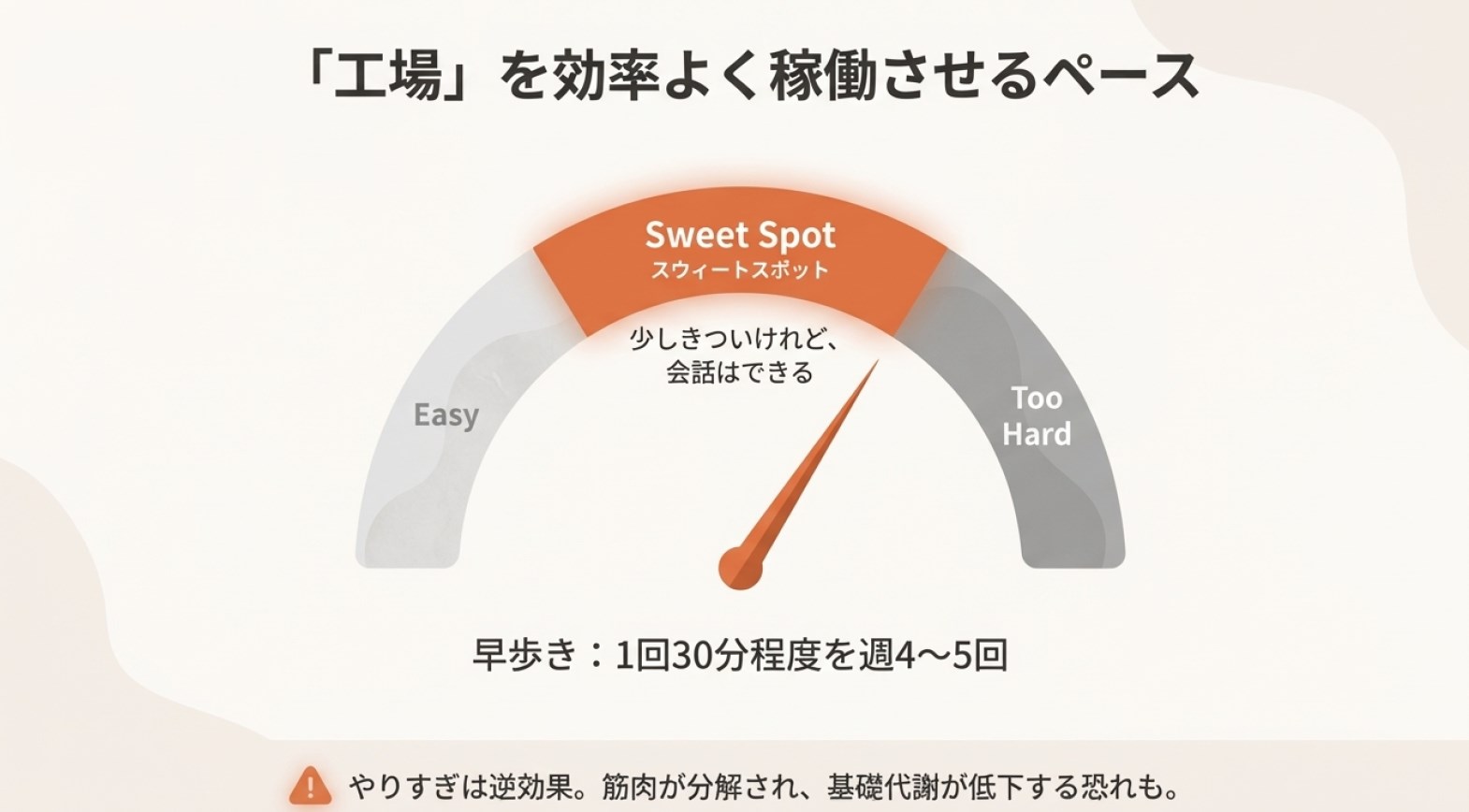 内臓脂肪を最速で落とす運動は?その答え